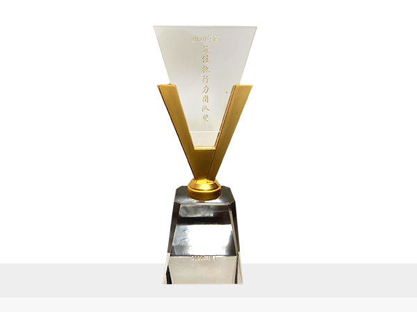 2020年最佳執(zhí)行力團(tuán)隊(duì)獎(jiǎng)